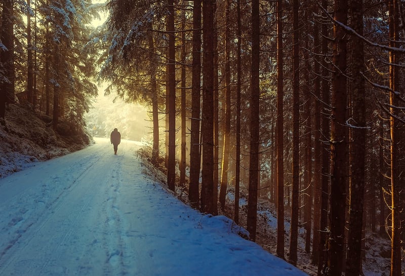 Walking Meditation